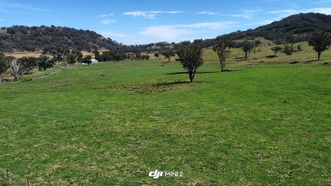 Waverley/1420 Monteray Rd Loomberah NSW 2340 Waverley/1420 Monteray Rd Loomberah NSW 2340