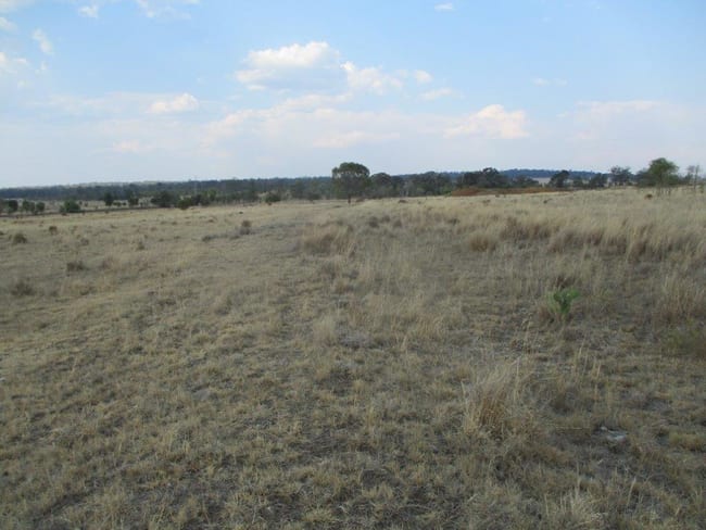 400 ACRES GRAZING | Cooranga QLD 4408 400 ACRES GRAZING | Cooranga QLD 4408