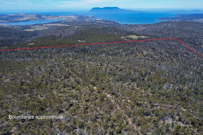 298 Alma Road Orford TAS 7190 298 Alma Road Orford TAS 7190