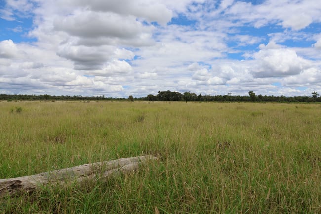 Lot 2 Wellwater Road Clara Creek QLD 4468