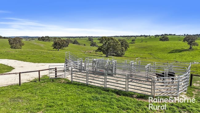 166 Stirling Hill Road Gemmells SA 5255 166 Stirling Hill Road Gemmells SA 5255