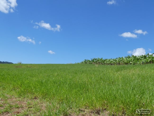 79 Fallon Road Garradunga QLD 4860 79 Fallon Road Garradunga QLD 4860