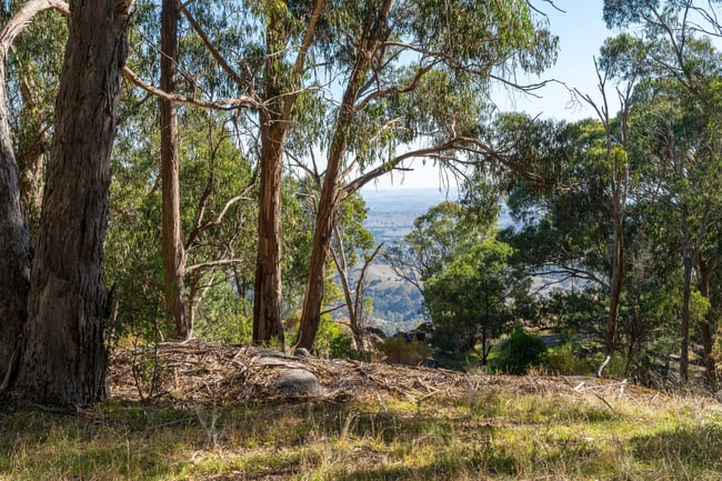400 Ennis Road Tallarook VIC 3659