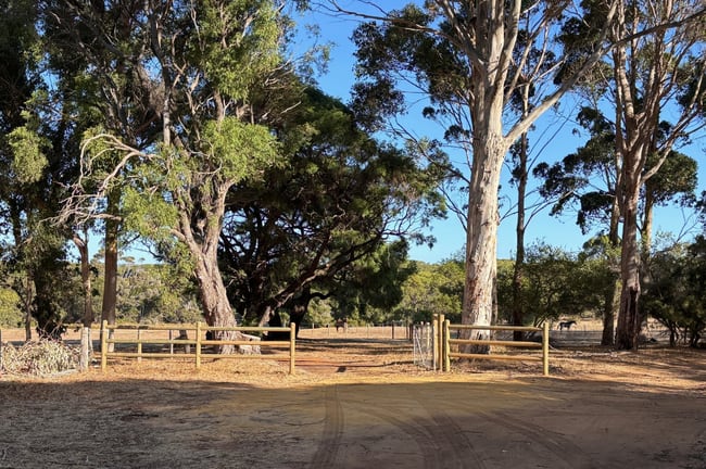 9569 (PL 582) Caves Road Hamelin Bay WA 6288 9569 (PL 582) Caves Road Hamelin Bay WA 6288