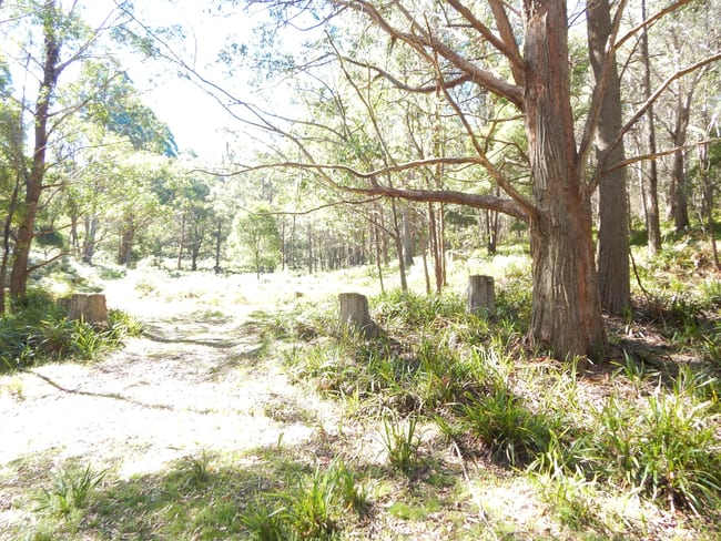 1864 Tuross Road Tuross NSW 2630 1864 Tuross Road Tuross NSW 2630