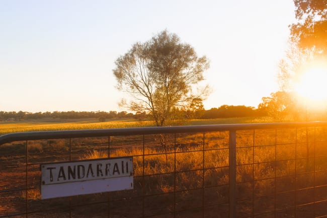 Tandarrah 2396 Boorr Hill Road Trundle NSW 2875 Tandarrah 2396 Boorr Hill Road Trundle NSW 2875