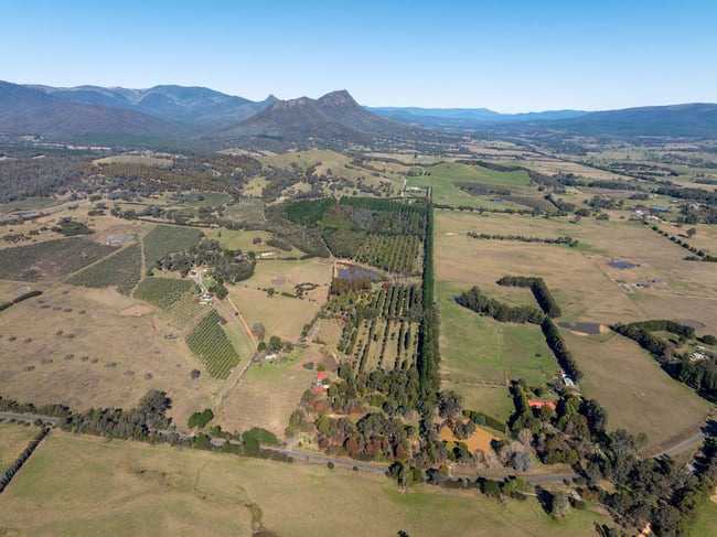 252 Taggerty - Thornton Road Taggerty VIC 3714 252 Taggerty - Thornton Road Taggerty VIC 3714