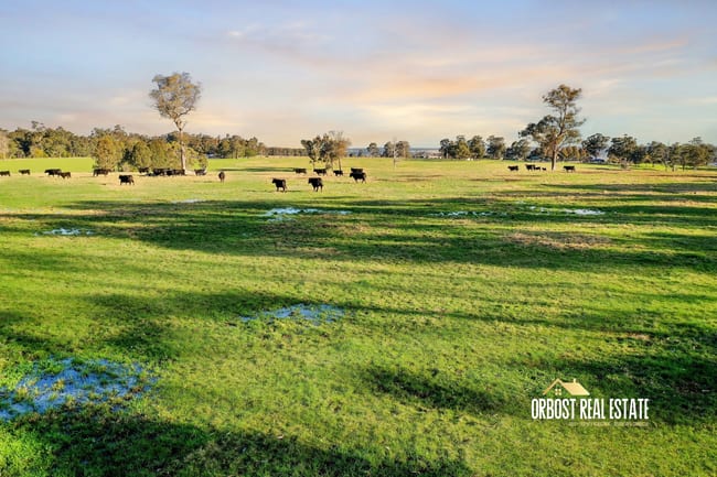 46 Murphys Lane Orbost VIC 3888 46 Murphys Lane Orbost VIC 3888