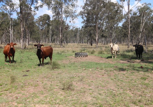 Lot D Mundubbera Durong Road Brovinia QLD 4626 Lot D Mundubbera Durong Road Brovinia QLD 4626