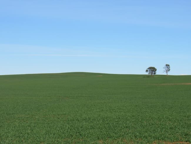 Lot 91 Chapman Road Walloway SA 5431 Lot 91 Chapman Road Walloway SA 5431