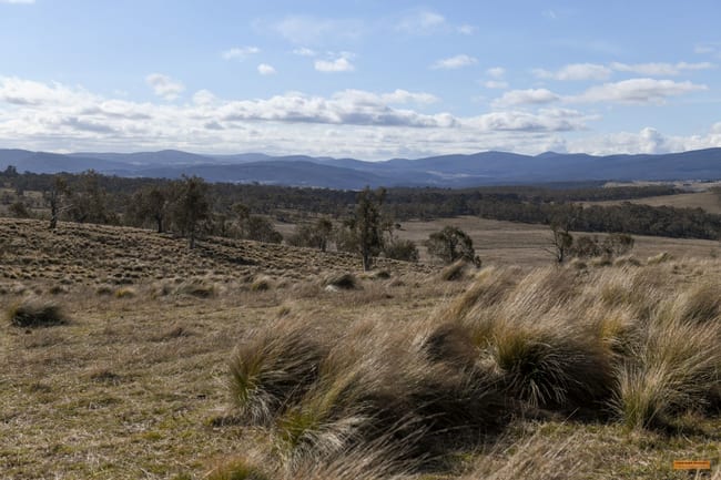 749 Caddigat Road Dry Plain NSW 2630 749 Caddigat Road Dry Plain NSW 2630