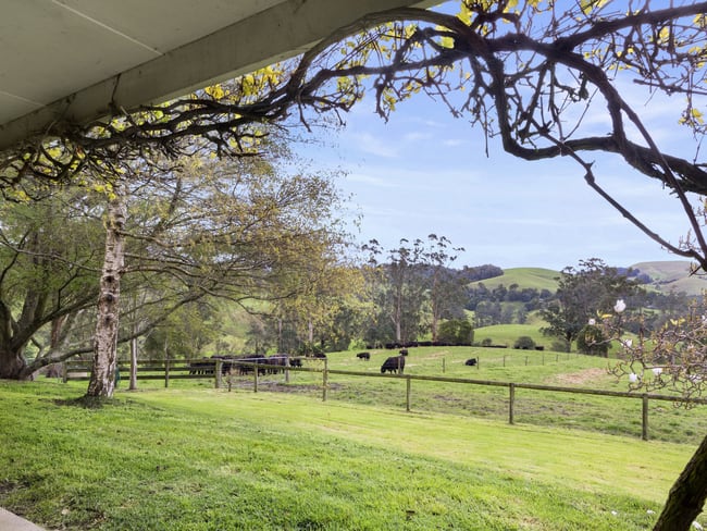 226 Wild Dog Road Strzelecki via Korumburra VIC 3950
