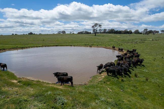 239 Longrail Gully Road Murrumbateman NSW 2582 239 Longrail Gully Road Murrumbateman NSW 2582