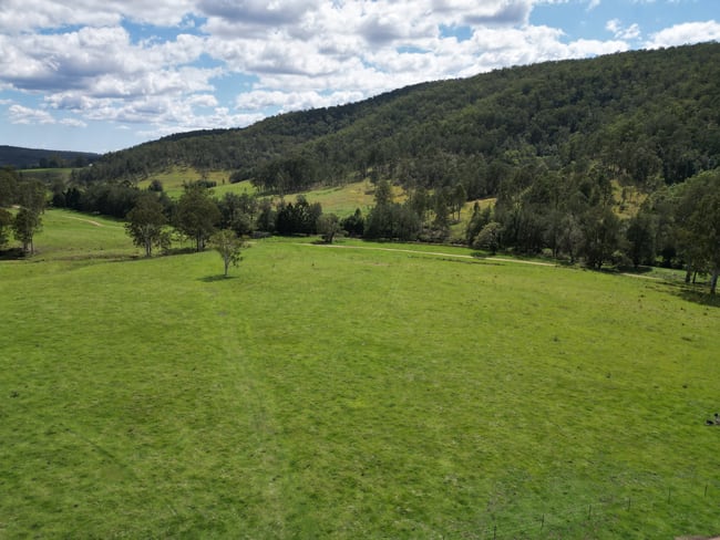 Lot 51 Endless Creek Road, Chambigne Grafton NSW 2460 Lot 51 Endless Creek Road, Chambigne Grafton NSW 2460