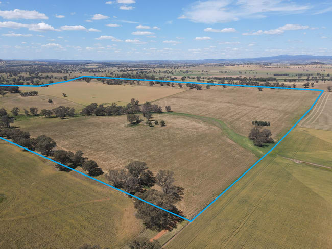 1 Tremains Lane Toogong NSW 2864 1 Tremains Lane Toogong NSW 2864
