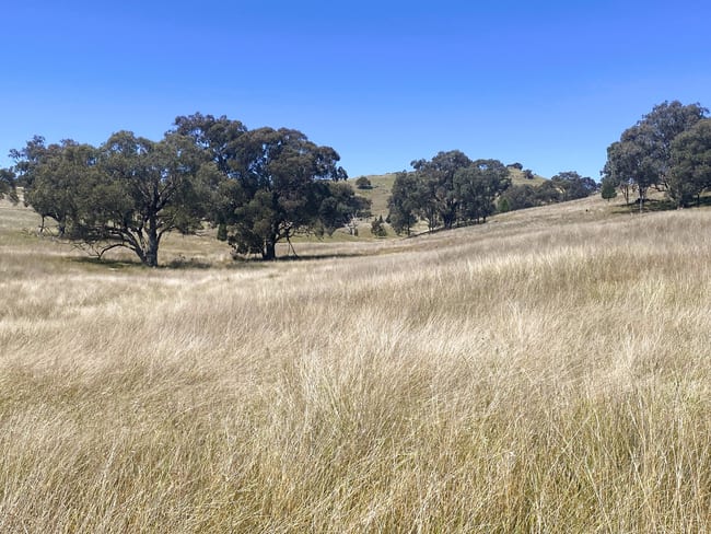 250 Emu Creek Road Canowindra NSW 2804 250 Emu Creek Road Canowindra NSW 2804