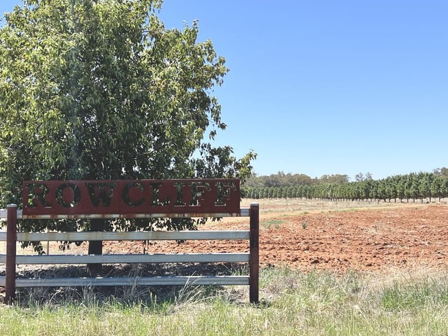 3739 Lachlan River Road Hillston NSW 2675 3739 Lachlan River Road Hillston NSW 2675