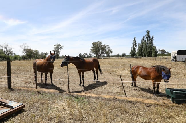 Lot 2 Benalla-Tocumwal Road Muckatah VIC 3644 Lot 2 Benalla-Tocumwal Road Muckatah VIC 3644