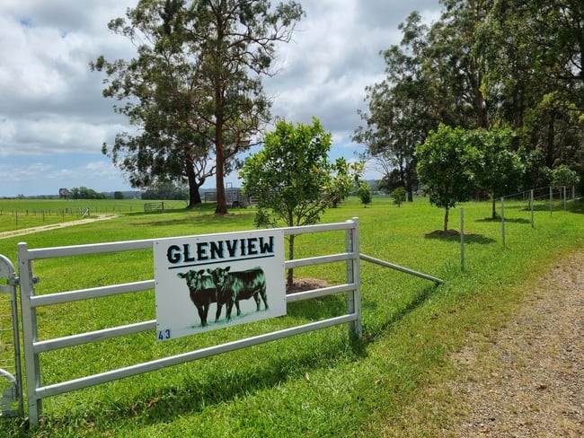 43 Weismantle Street Wauchope NSW 2446