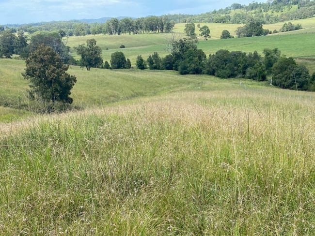2033 The Bucketts Way Weismantels NSW 2415 2033 The Bucketts Way Weismantels NSW 2415