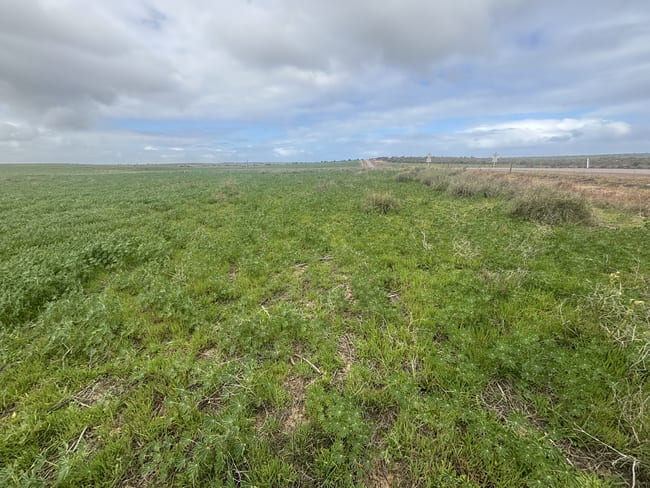 Lot 17 White Cliffs Road Sandy Gully WA 6535 Lot 17 White Cliffs Road Sandy Gully WA 6535