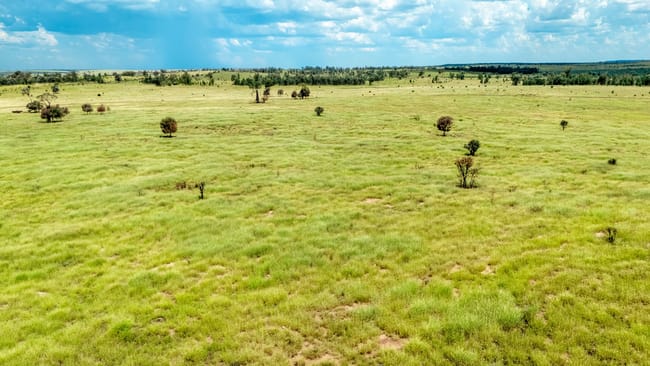 10077 Hoganthulla Road Mungallala QLD 4467
