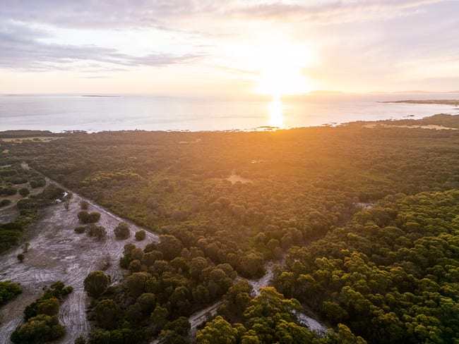 Lot 3, 1290 Palana Road Blue Rocks TAS 7255 Lot 3, 1290 Palana Road Blue Rocks TAS 7255