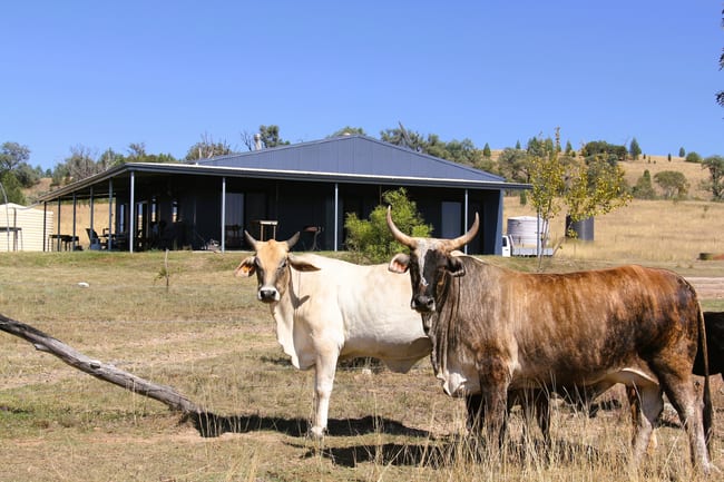 1854 Glenlyon Dam Road Mingoola QLD 4380 1854 Glenlyon Dam Road Mingoola QLD 4380