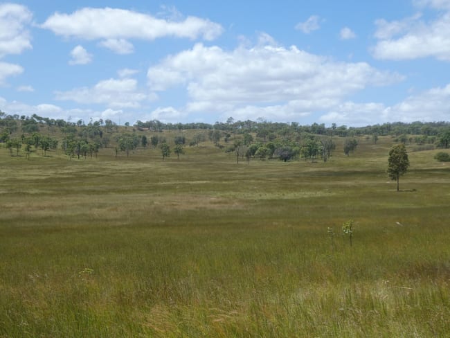 NRN Gooroolba Biggenden Road Gooroolba QLD 4625 NRN Gooroolba Biggenden Road Gooroolba QLD 4625