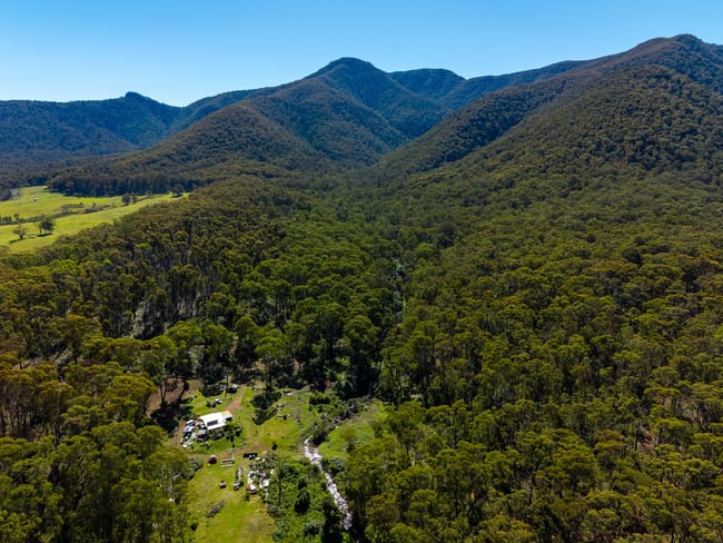 137 Yankees Gap Firetrail Bemboka NSW 2550 137 Yankees Gap Firetrail Bemboka NSW 2550