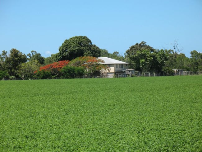 Bundaberg QLD 4670