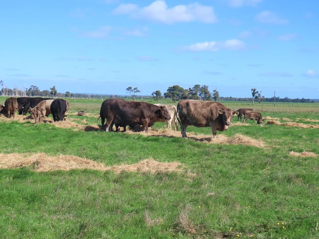 28 Mann Road Nillup WA 6288 28 Mann Road Nillup WA 6288