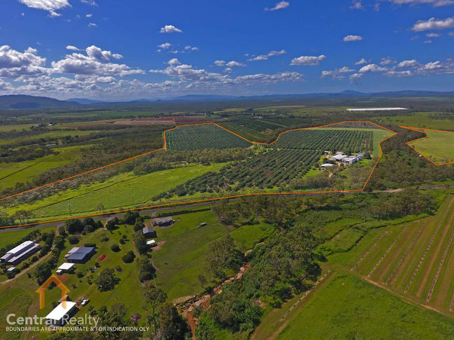 44 Carman Road Mareeba QLD 4880