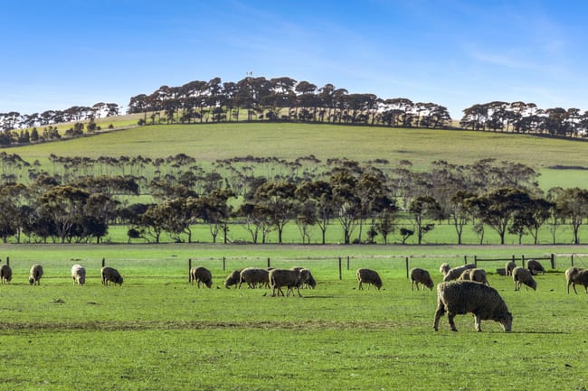 2125 Barrabool Road Mount Moriac VIC 3240 2125 Barrabool Road Mount Moriac VIC 3240