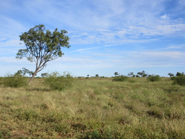715 Royston Lane Longreach QLD 4730 715 Royston Lane Longreach QLD 4730