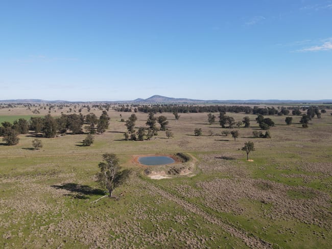 Wirrinya Road Forbes NSW 2871