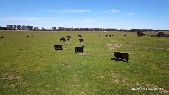 Lot 1 Dempster Road Esperance WA 6450 Lot 1 Dempster Road Esperance WA 6450