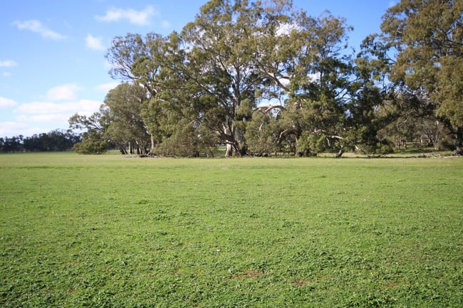 202 Malones Road Naracoorte SA 5271 202 Malones Road Naracoorte SA 5271