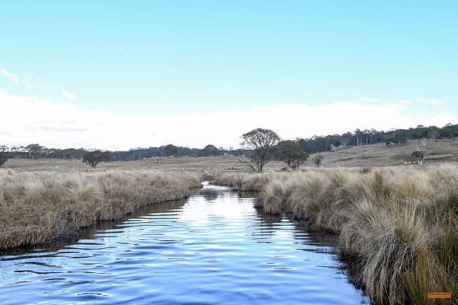 "Moles Station" 248 Hains Road Kybeyan NSW 2631 "Moles Station" 248 Hains Road Kybeyan NSW 2631