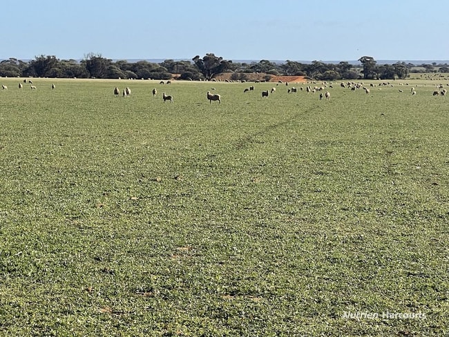 2159 Mouroubra Road Beacon WA 6472 2159 Mouroubra Road Beacon WA 6472