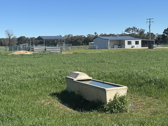 4332 Olympic Highway Henty NSW 2658 4332 Olympic Highway Henty NSW 2658