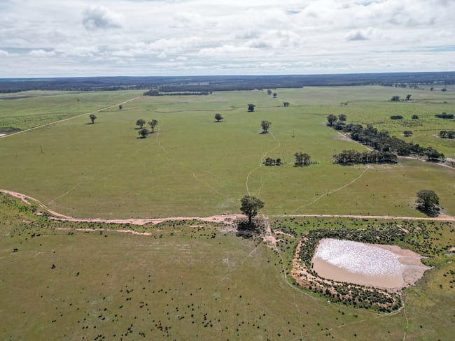 ' Dalmallee' 735 Charcoal Tank Road West Wyalong NSW 2671 ' Dalmallee' 735 Charcoal Tank Road West Wyalong NSW 2671