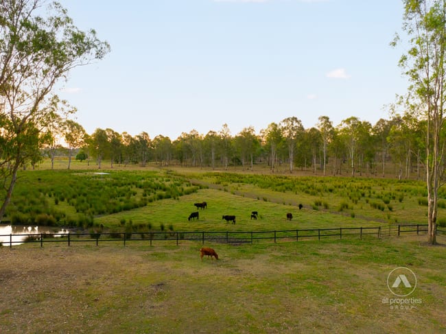 888 Mundoolun Connection Road Tamborine QLD 4270 888 Mundoolun Connection Road Tamborine QLD 4270