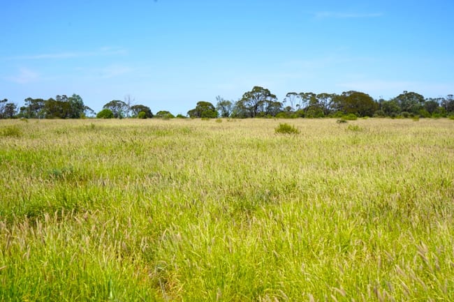 1081 Tareela Access Road Mungallala QLD 4467