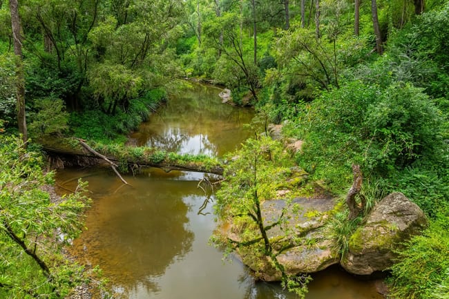 18 Ryans Road Bonalbo NSW 2469