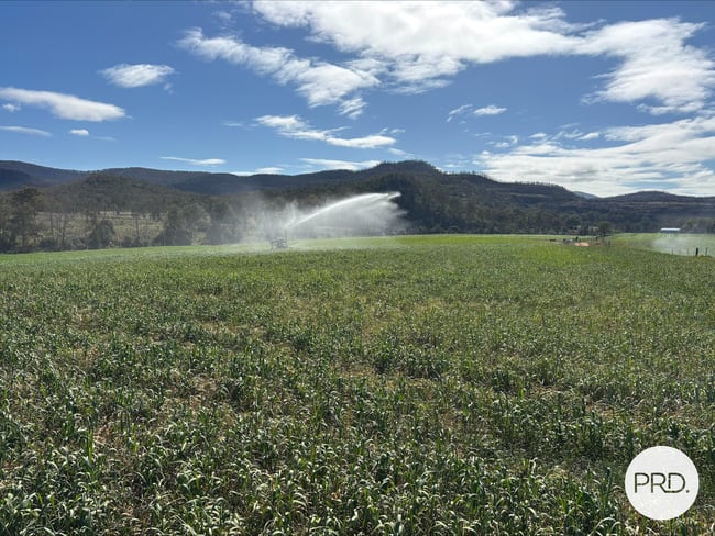 2080 Bylong Valley Way Baerami NSW 2333 2080 Bylong Valley Way Baerami NSW 2333