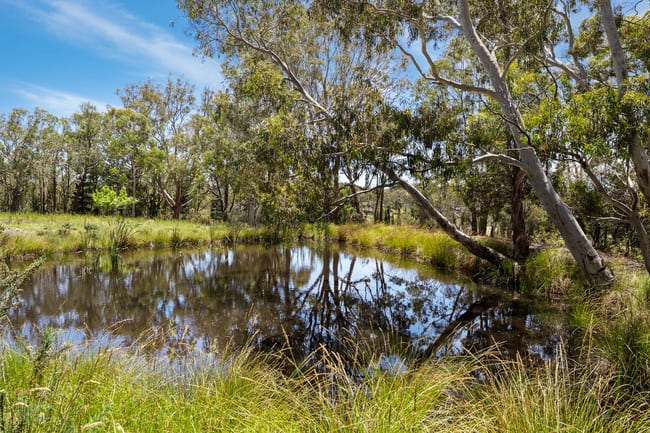 559 Mount Baw Baw Road, Baw Baw via Goulburn NSW 2580 559 Mount Baw Baw Road, Baw Baw via Goulburn NSW 2580