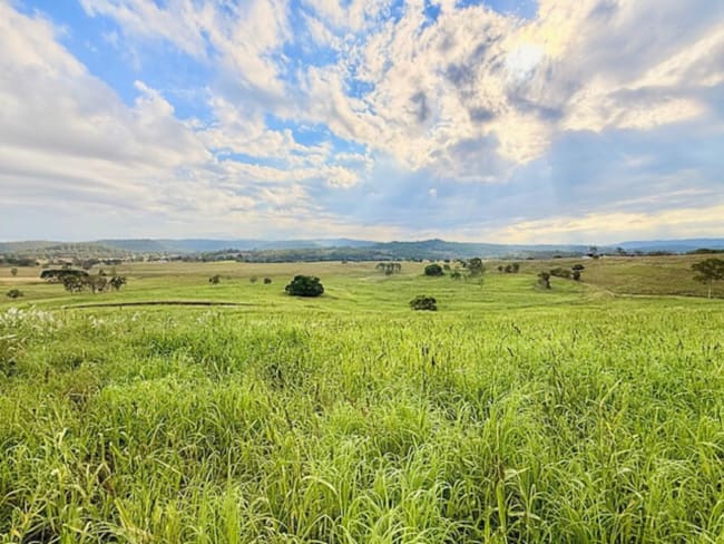 4411 Bruxner Highway Piora NSW 2470