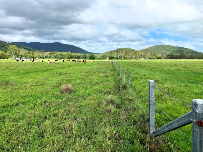 Mount Ossa QLD 4741