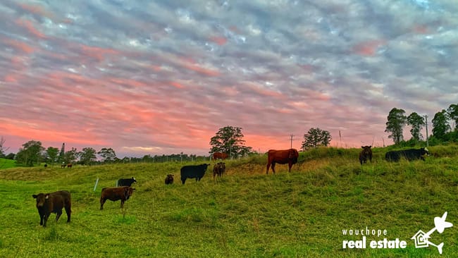 1024 Pappinbarra Road Pappinbarra NSW 2446